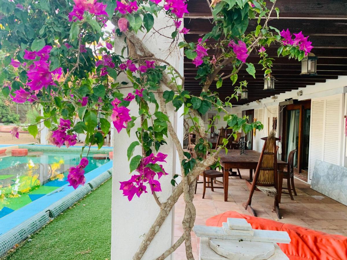 サンタ・エウラリア・デス・リウ Ibiza Paradise Bed & Breakfast エクステリア 写真