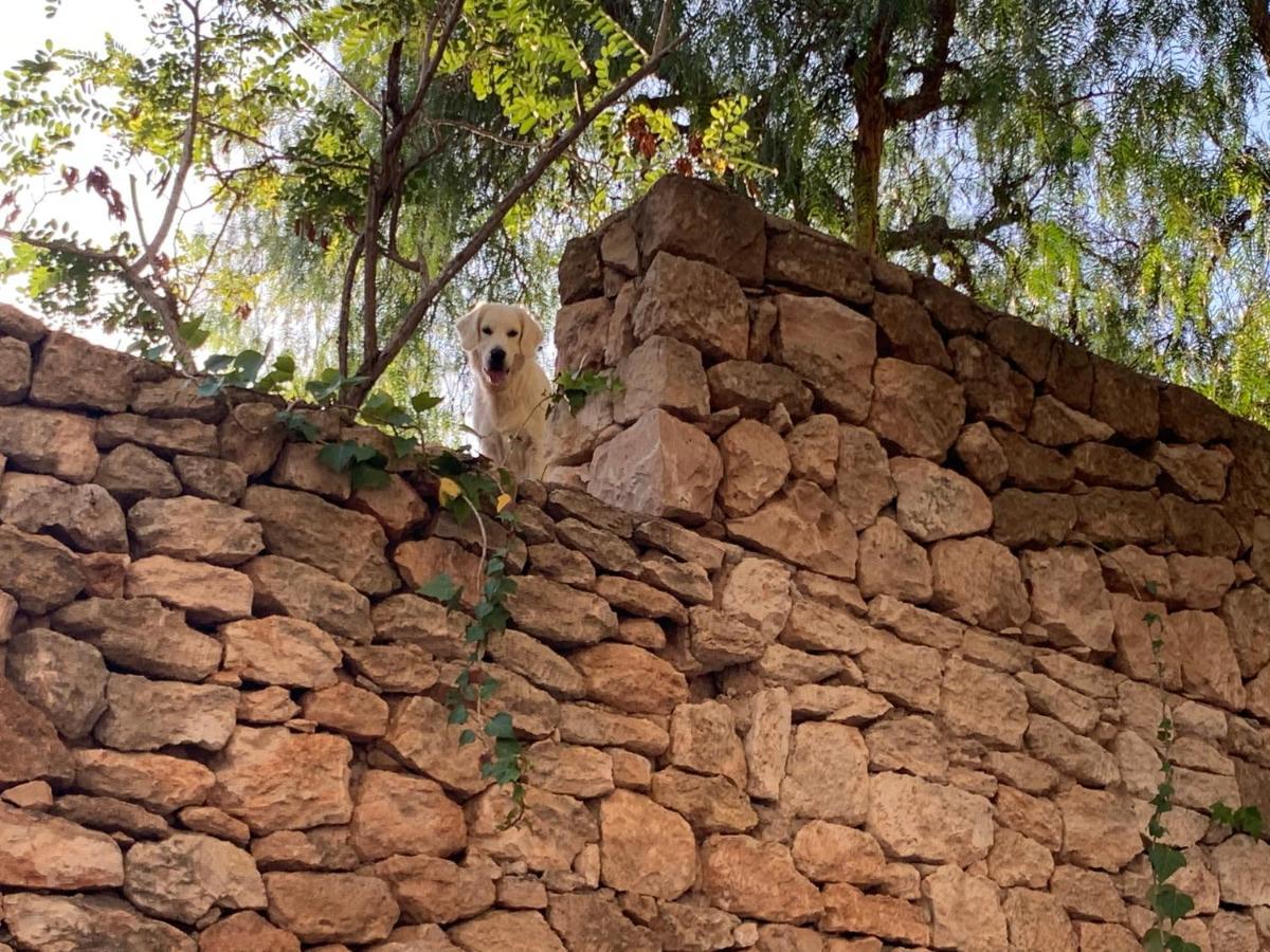 サンタ・エウラリア・デス・リウ Ibiza Paradise Bed & Breakfast エクステリア 写真